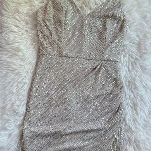 Elegant Silver Sequin Dress